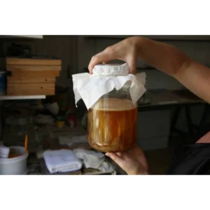 Local Handmade Kombucha (various flavours) 500m