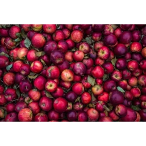 Vergesig Apple Cider Vinegar 500ml
