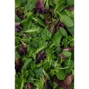 Salad Pack Hydroponic 150g