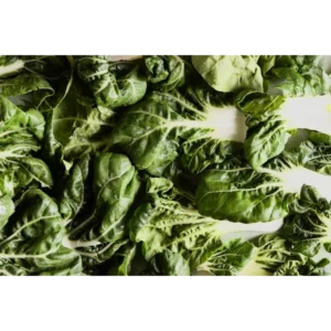 Chard Green bunch