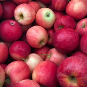 Rozenhof Apples "Sundowner" per kg