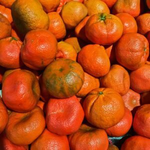 Jamaka Cape Rough Skin Naartjies per kg
